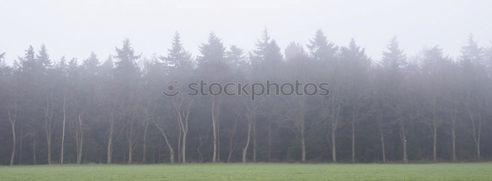 Similar – Holz vor der Hütte Umwelt