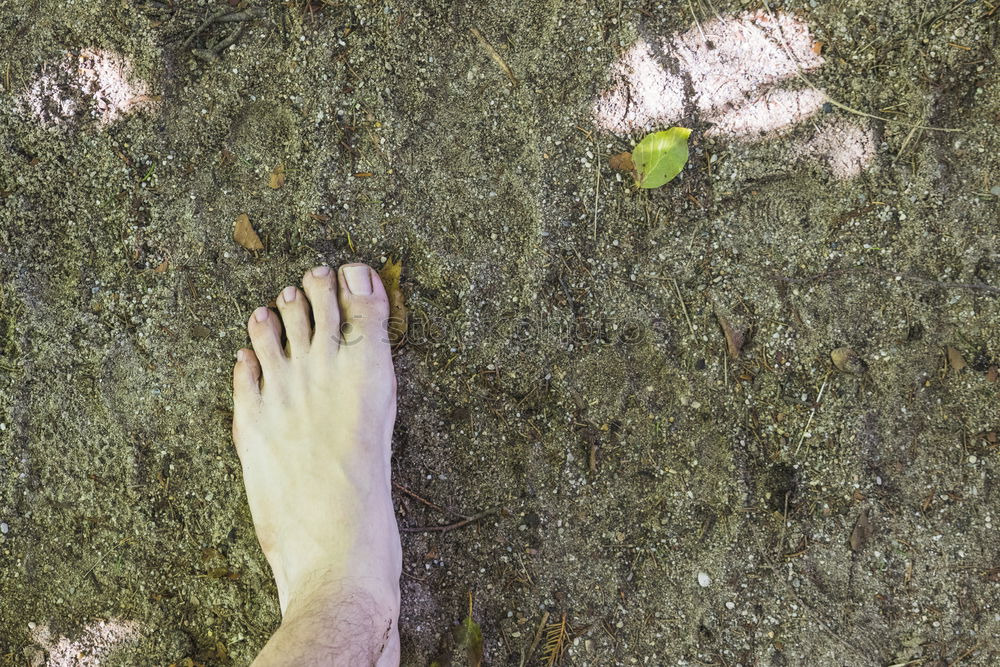 Similar – Barefoot on stone terrace in summer