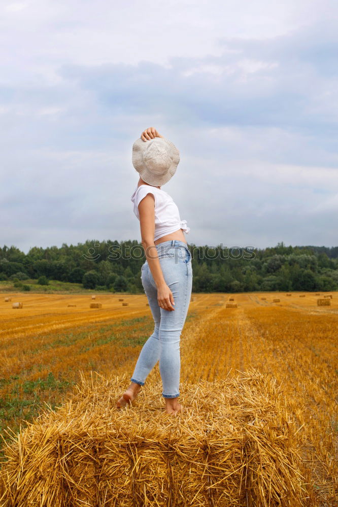 Similar – Image, Stock Photo oat dream