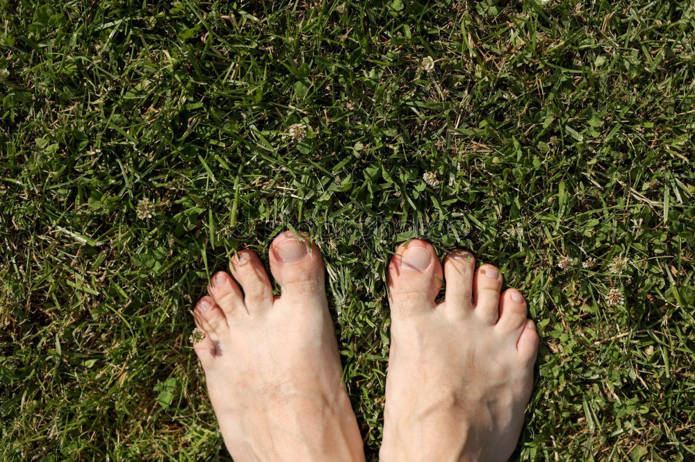 Similar – Green feet Stride Toes