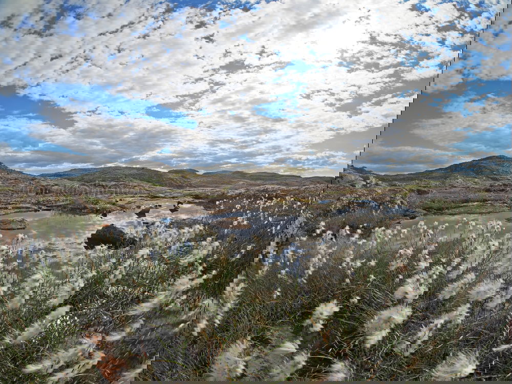 Similar – Image, Stock Photo The High North XVII Nature