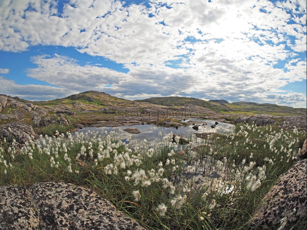 Similar – Foto Bild Andes Anden Berge