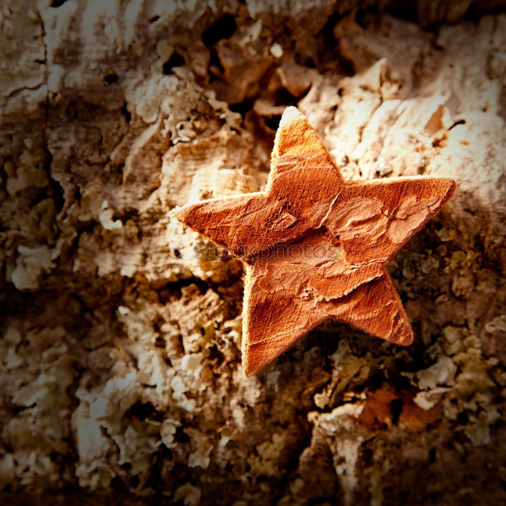 Similar – Image, Stock Photo abundance of forests Food