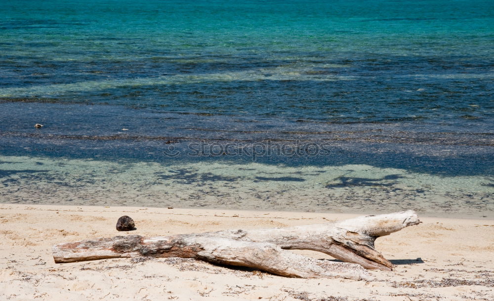 Similar – Image, Stock Photo flotsam and jetsam