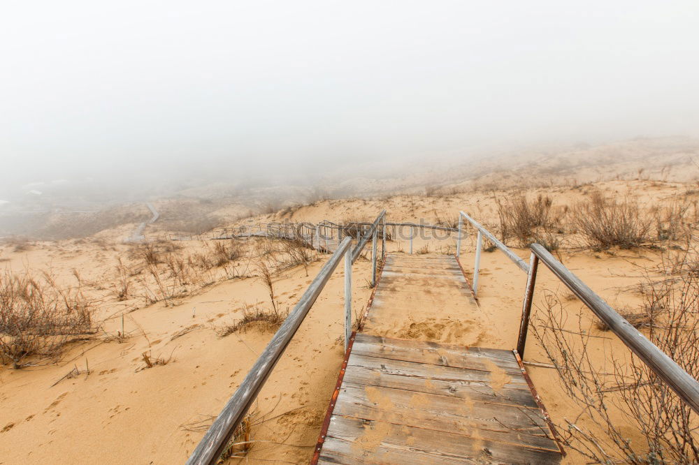 Similar – Image, Stock Photo Covered pathway in terrain
