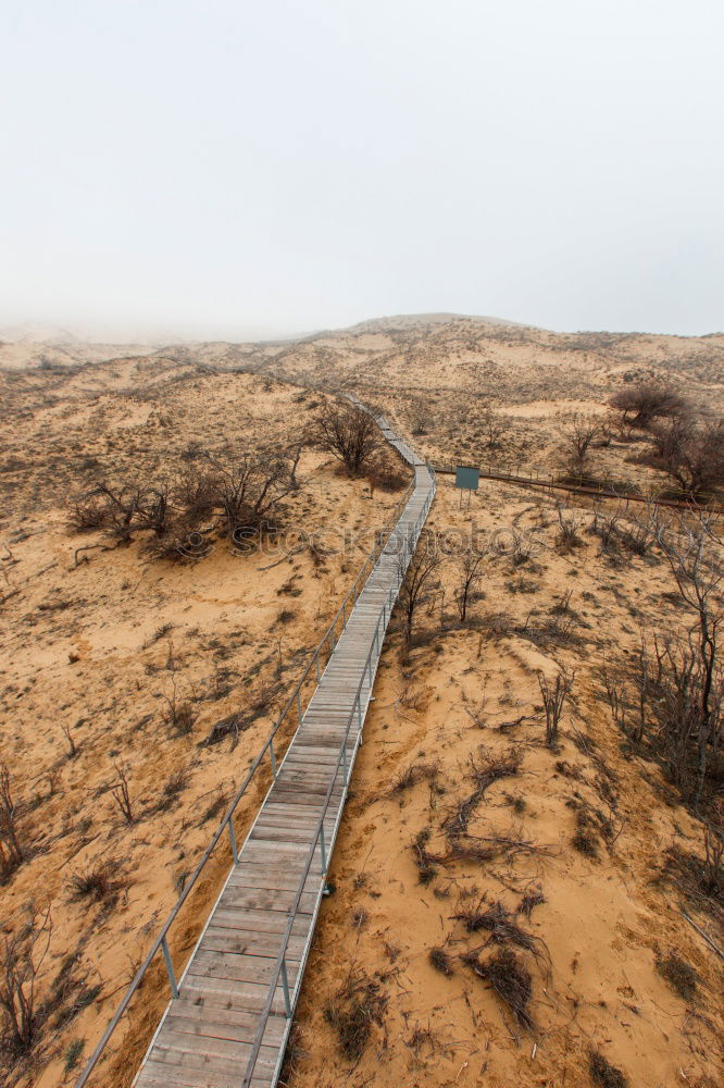 Similar – Image, Stock Photo The road to nothingness aka the way to happiness