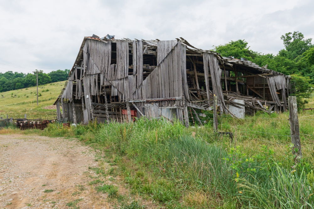 Similar – farmyard Agriculture