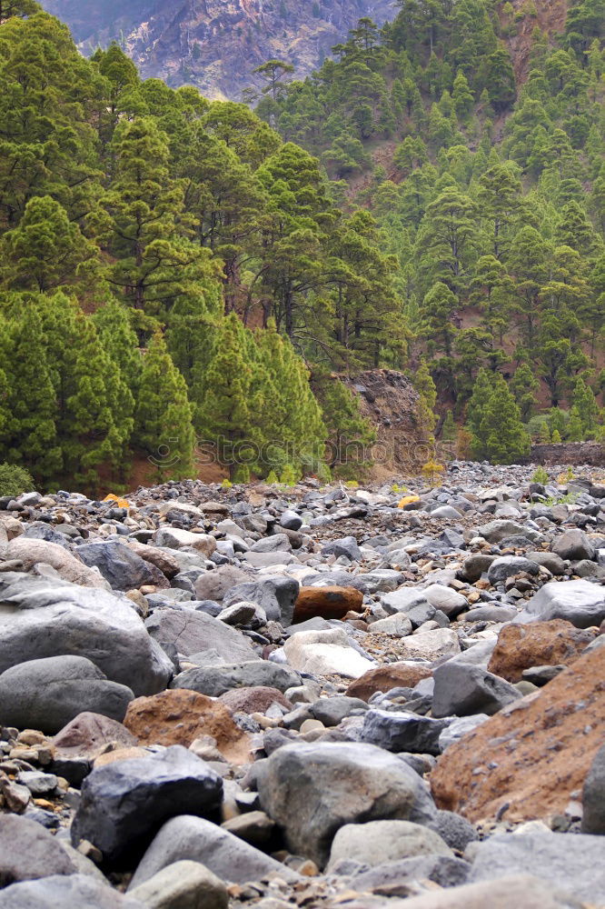 Similar – Mountain river valley landscape