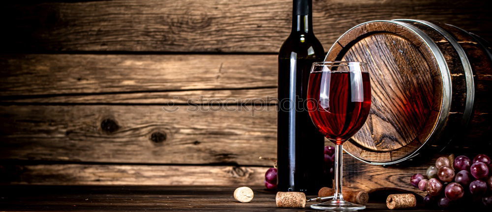 Similar – Image, Stock Photo prosecco Food Vegetable