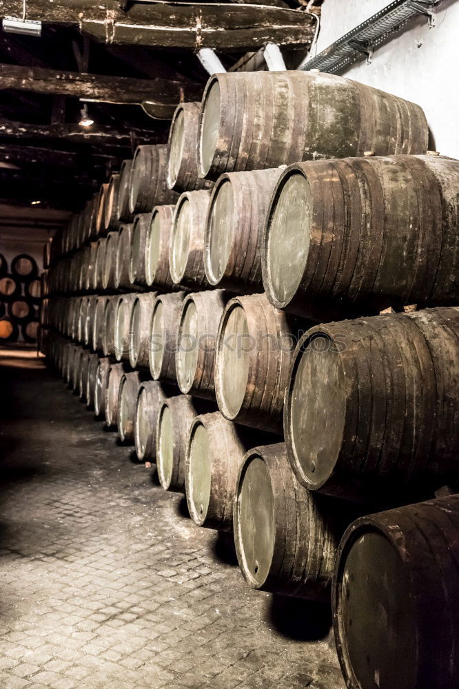 Similar – Image, Stock Photo Wooden barrels on stone surface