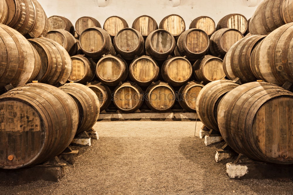 Similar – Image, Stock Photo Wooden barrels on stone surface