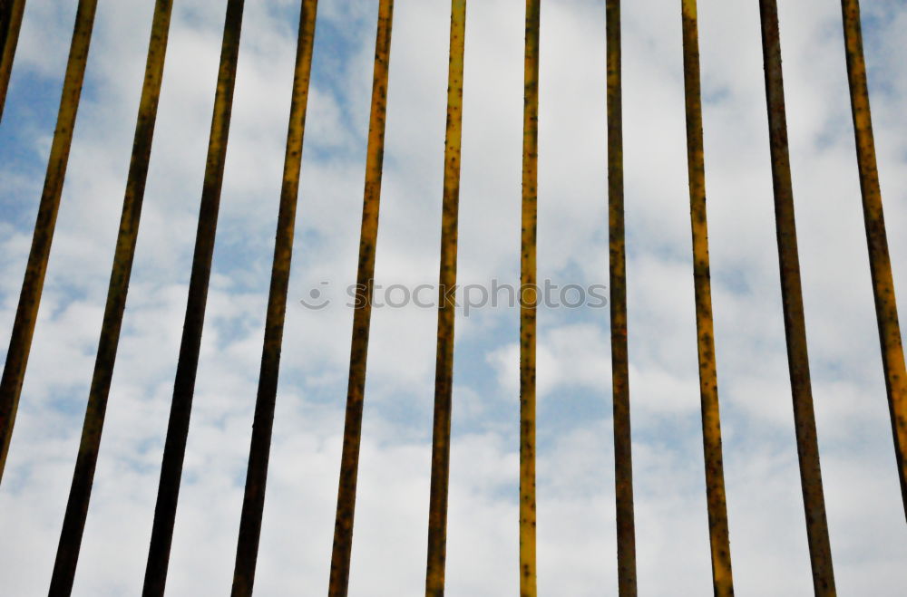 Similar – Image, Stock Photo Queue in front of Eiffel Tower II