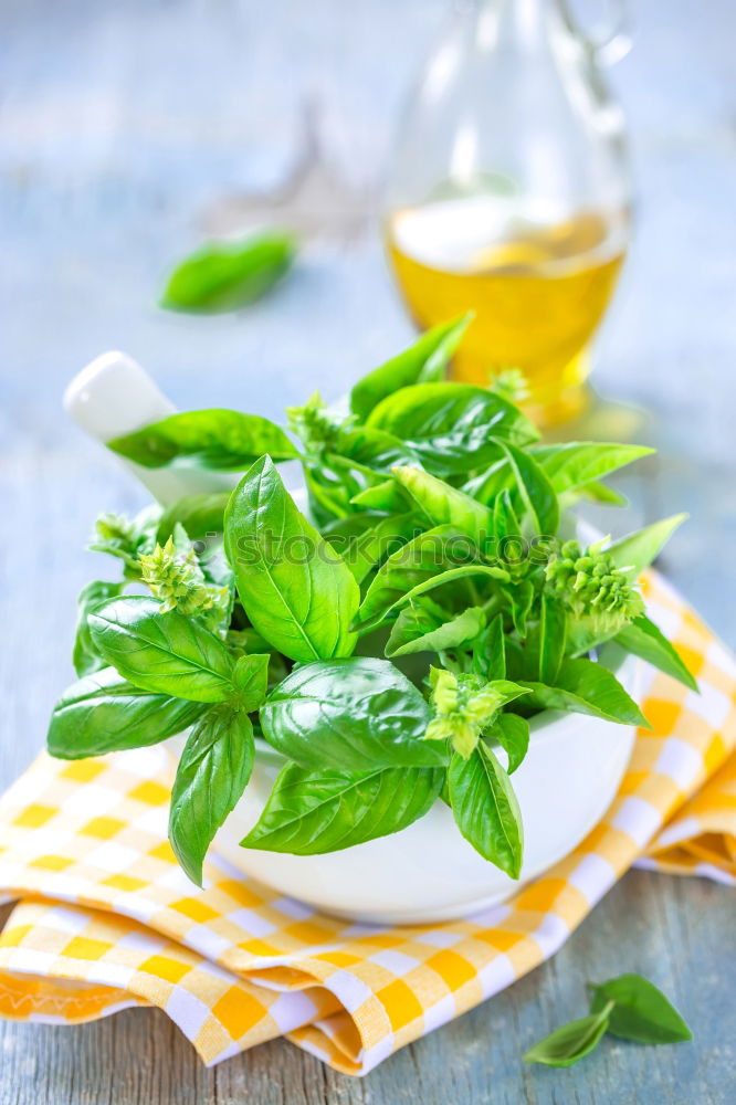 Similar – Image, Stock Photo Green herbs salad with oil in white skin