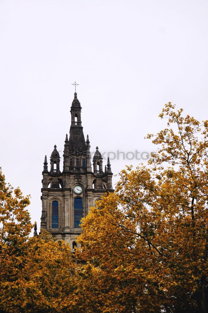 Similar – Image, Stock Photo Prague Spring