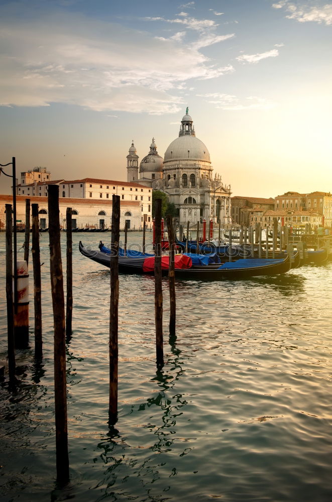 Similar – Image, Stock Photo Empty gondolas floating on a lagoon of Venice, Italy