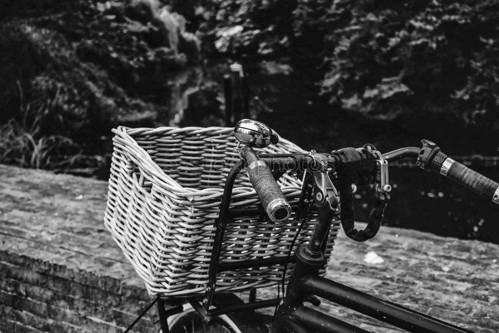 Similar – Woman and vintage suitcase