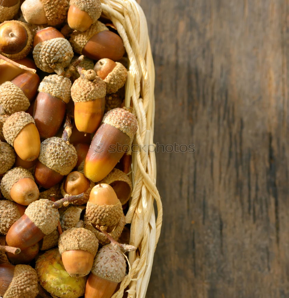 Similar – Image, Stock Photo halzelnut Food Fruit