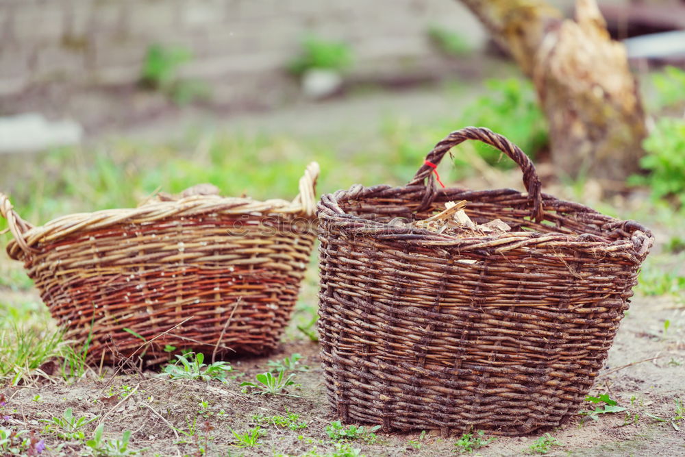 Similar – Image, Stock Photo Picnic Basket Hamper With Leather Handle In Green Grass