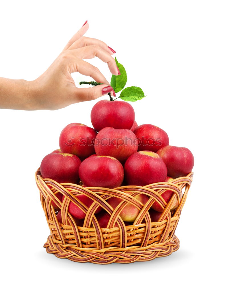 Similar – Image, Stock Photo one apple a day Food Fruit