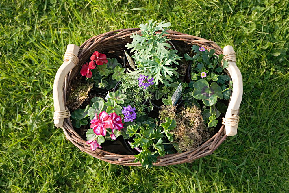 Similar – View into the garden bio bin…