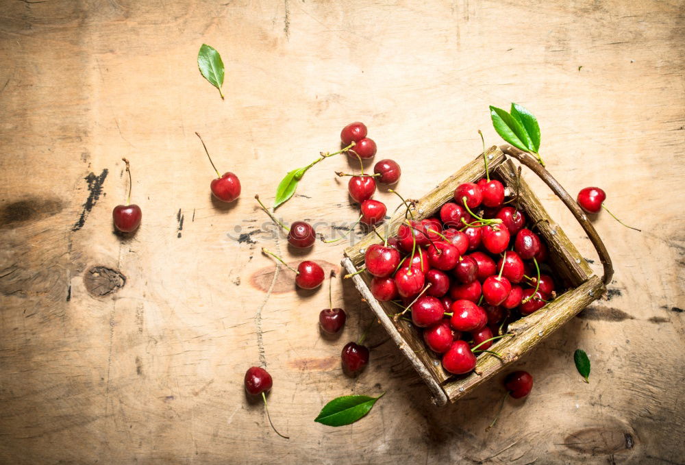 Similar – Image, Stock Photo Ripe red cherry in a paper bag