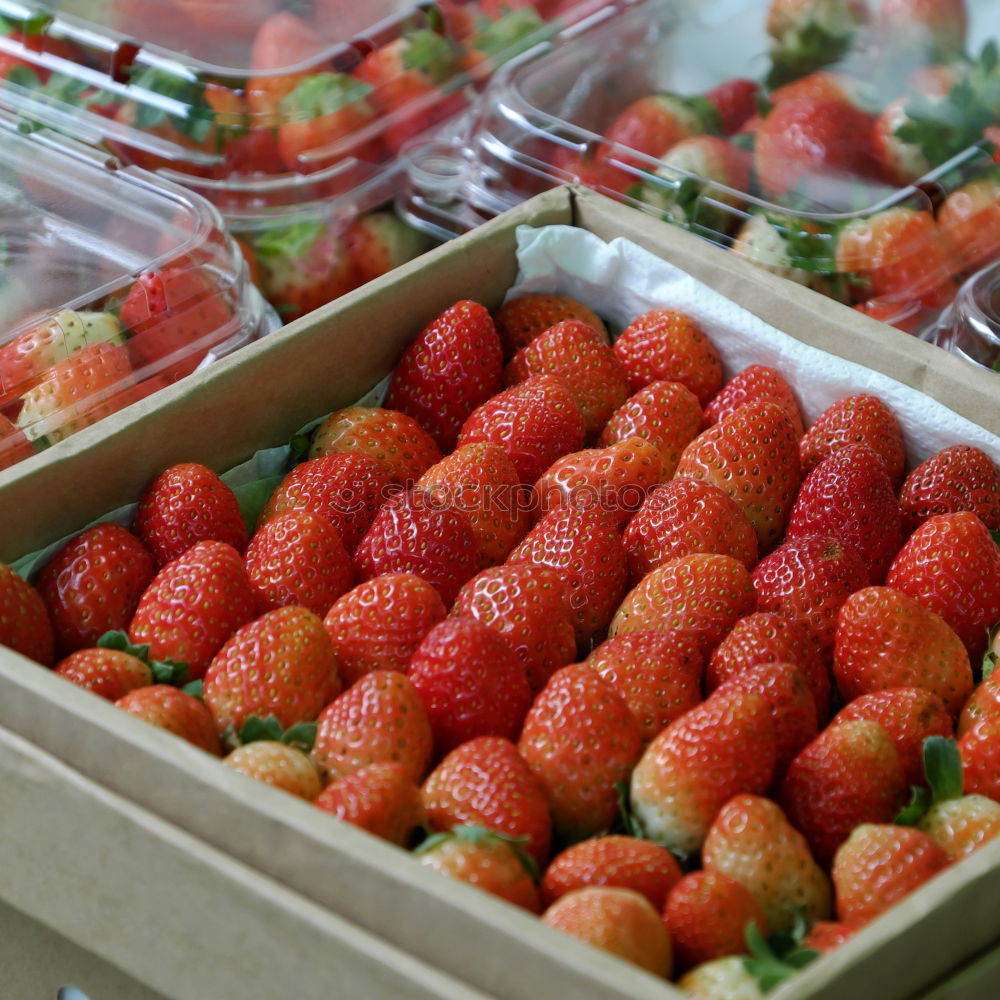 Similar – Erdbeeren Frucht Ernährung