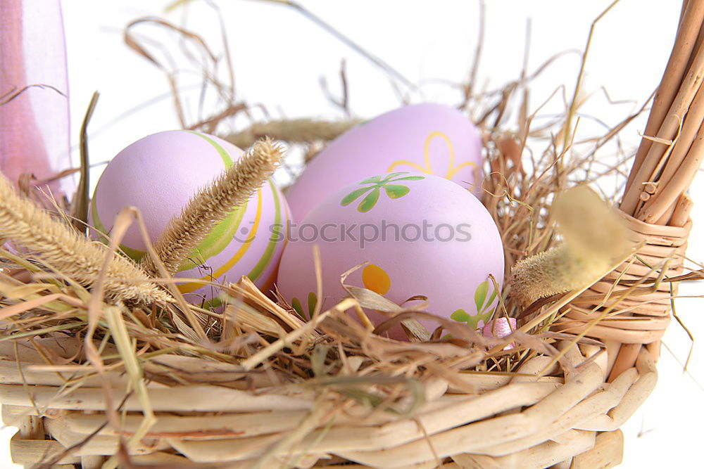 Similar – Image, Stock Photo Easter eggs in a basket on wooden background