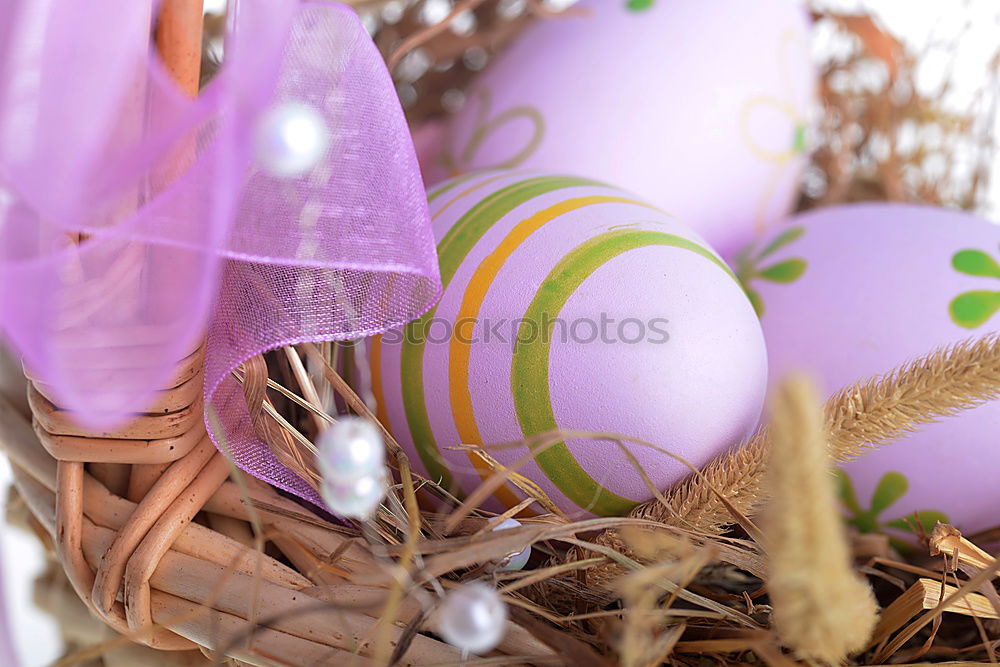 Similar – Image, Stock Photo Custom Easter Spring