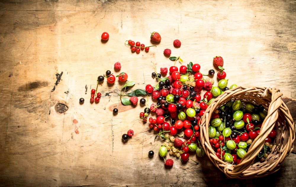 Similar – Image, Stock Photo Apple Bird Nest Food Fruit