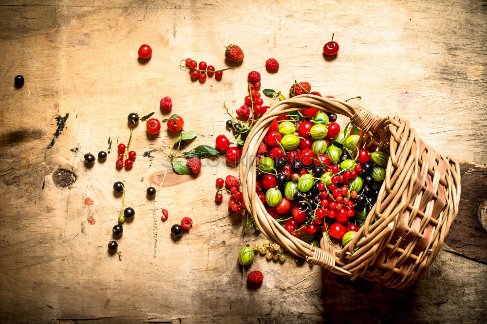 Similar – Image, Stock Photo Apple Bird Nest Food Fruit