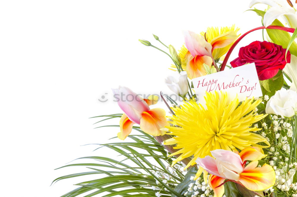 Similar – Bouquet with card Elegant