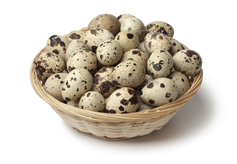 Similar – Image, Stock Photo Fresh quail eggs on a white surface