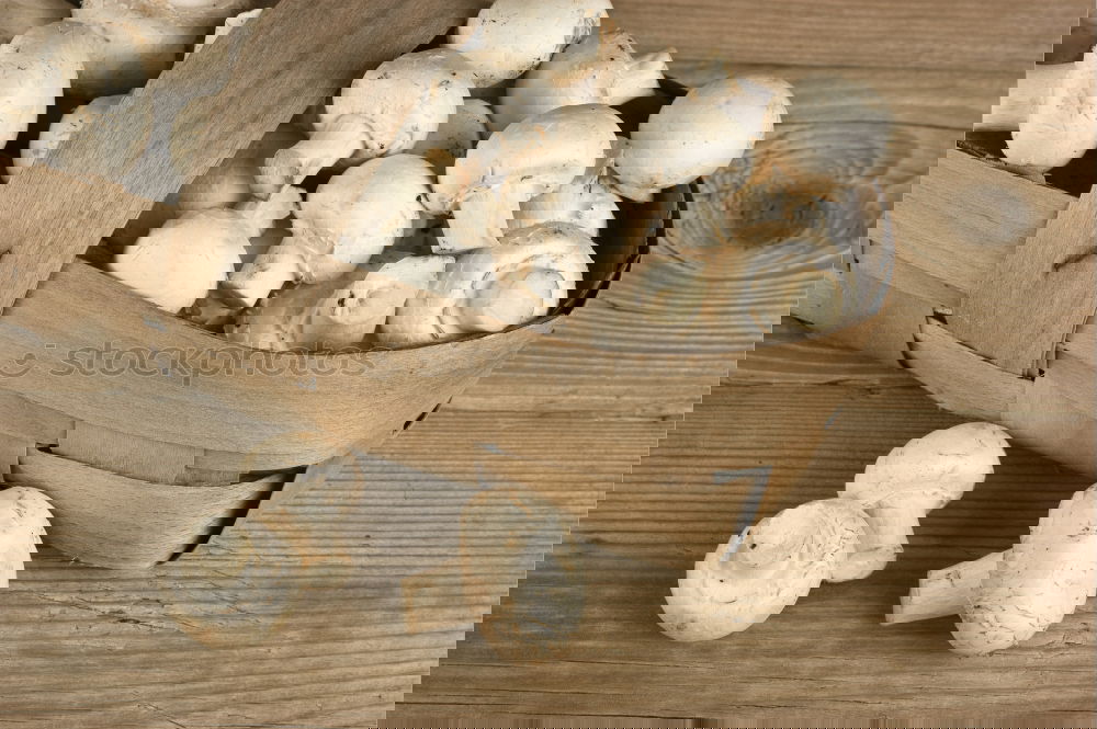 Similar – Foto Bild Pilz-Geschnipseltes