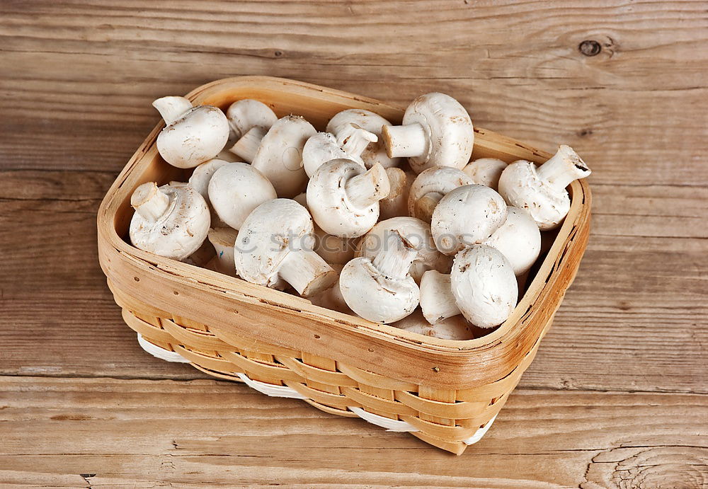 Similar – Image, Stock Photo Raw quail eggs Eating