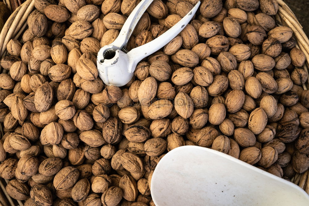 Similar – Image, Stock Photo Fresh walnuts with a nutcracker