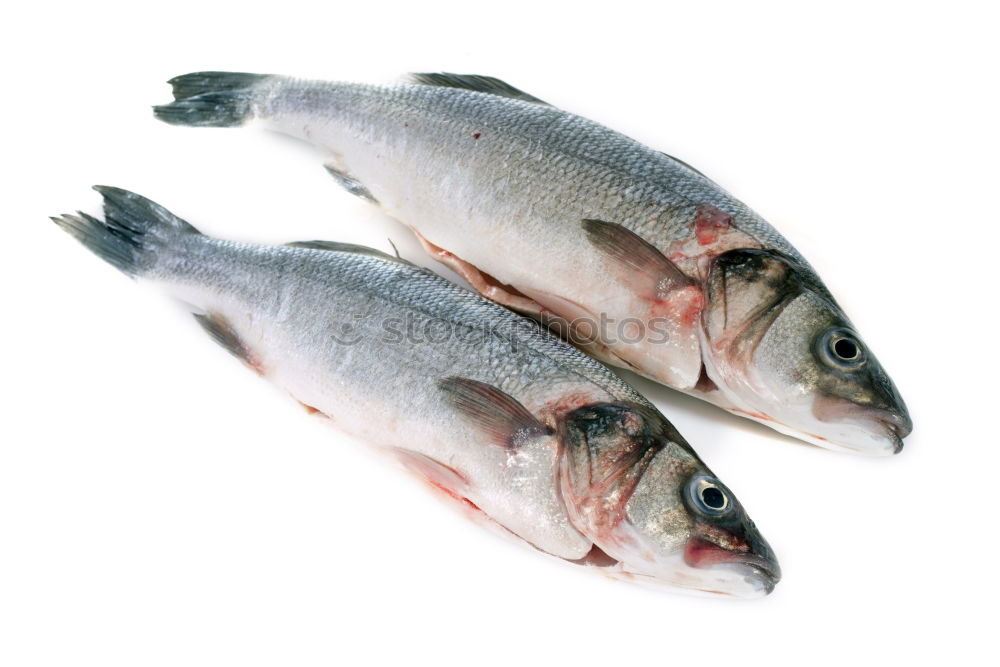 Similar – Image, Stock Photo raw trout on white paper