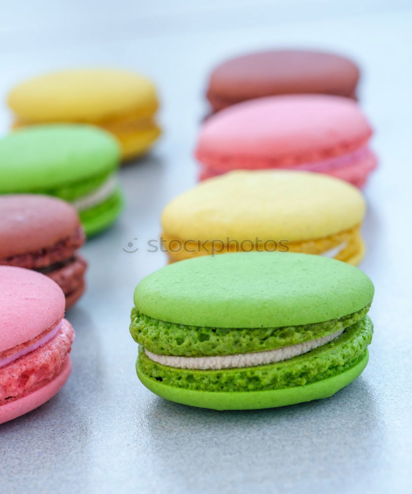 Similar – Image, Stock Photo multicolored macaroons