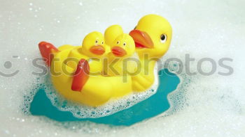 Similar – squeaky duck Bathtub Toys