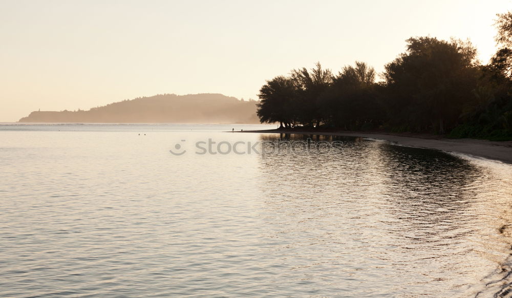 Similar – Olive trees, sea and sunset.