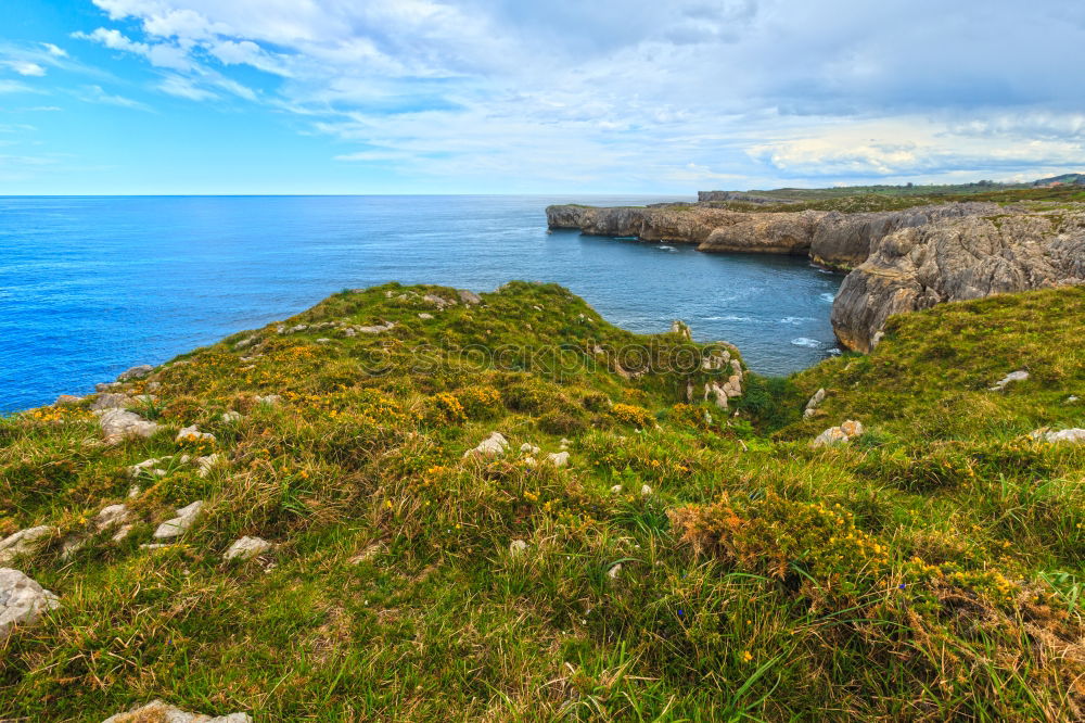 Similar – Image, Stock Photo coastal meadow Environment