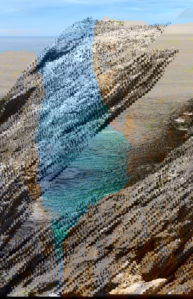 Similar – Image, Stock Photo wild {N1} Far-off places