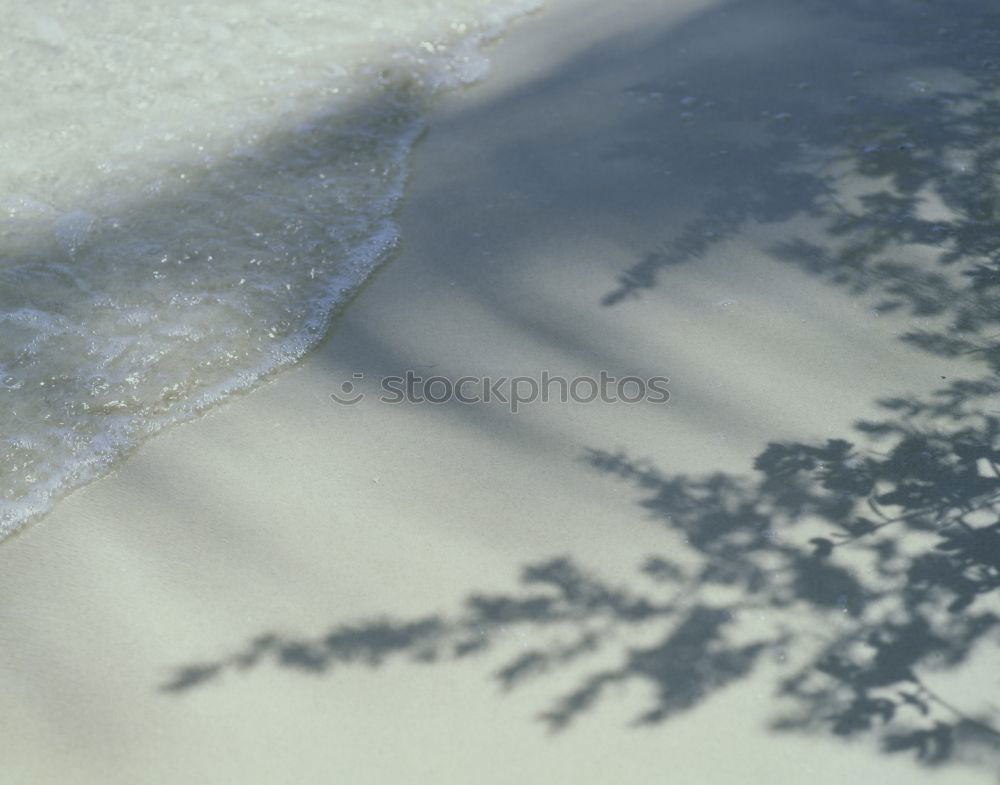 Similar – Image, Stock Photo Zwiegespalten l Cologne