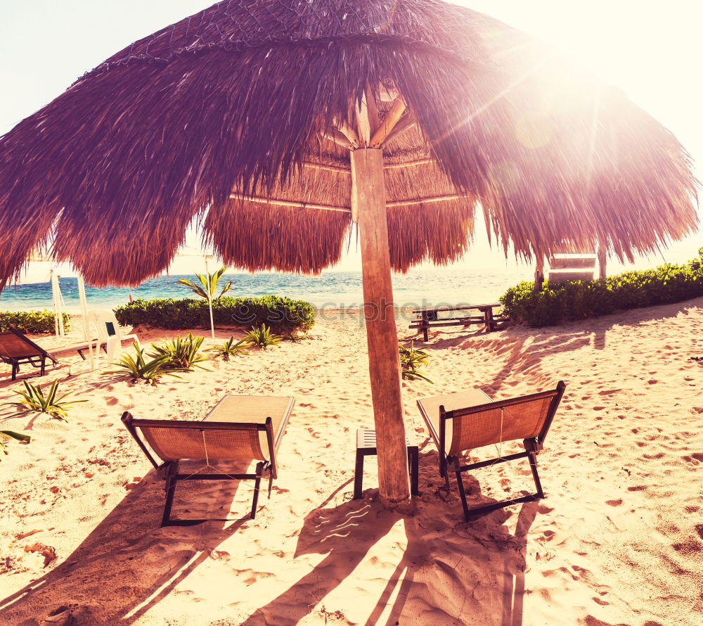 Similar – Image, Stock Photo Wooden umbrellas in a beach at sunset