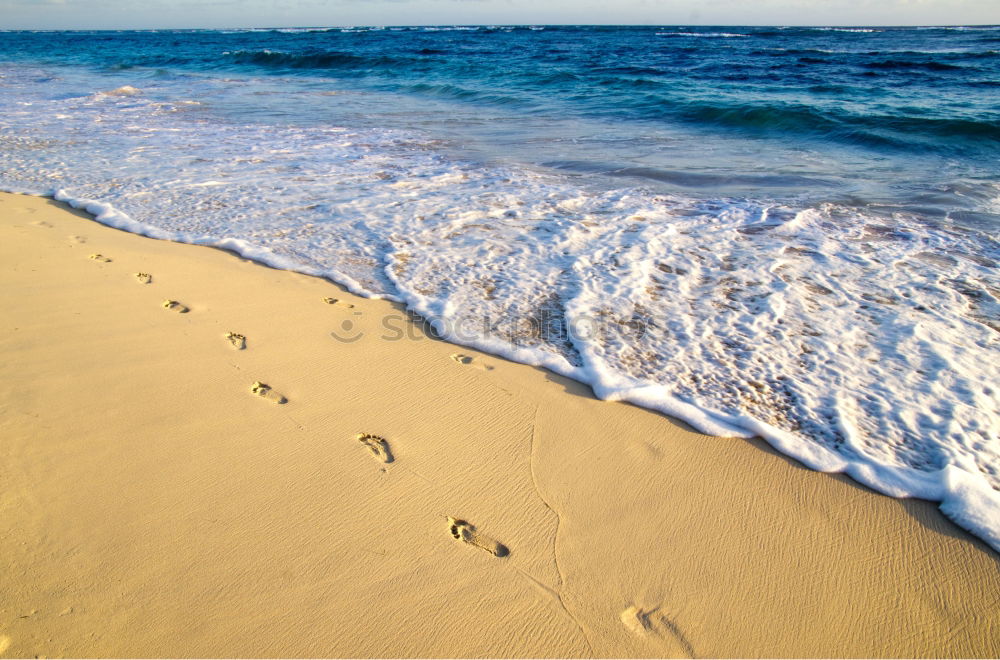 Similar – beach Footprint Barefoot