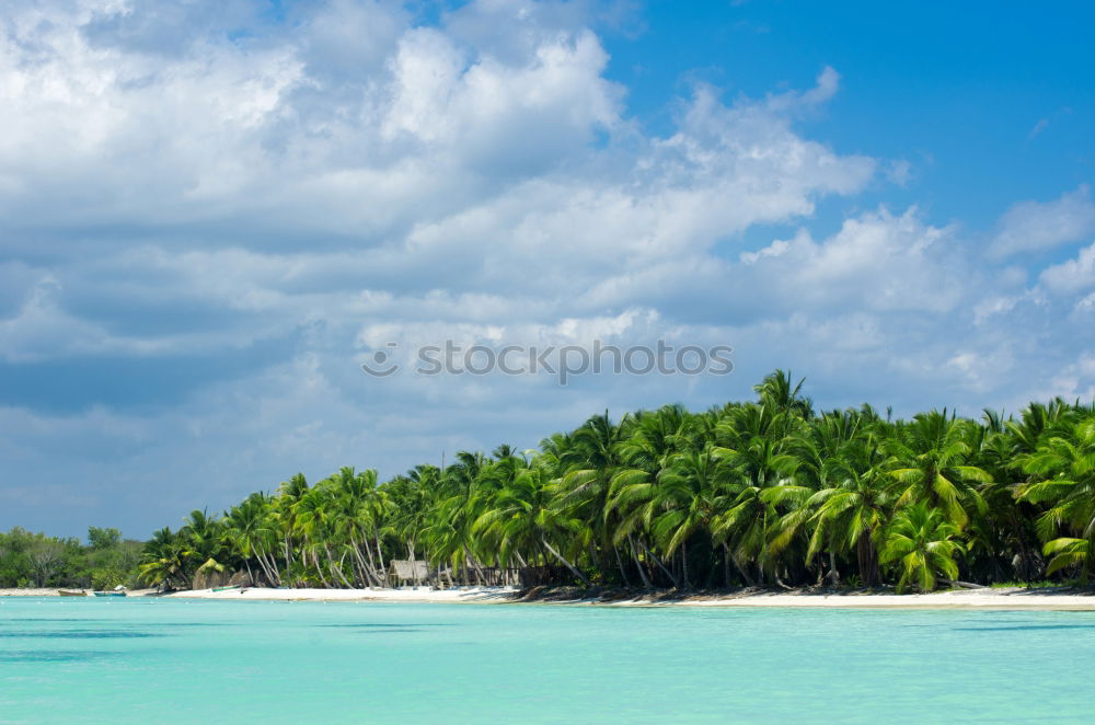 Similar – Palms on the beach of Isla Saona