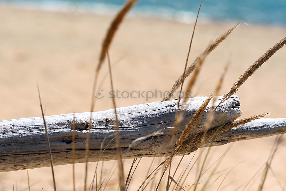 Baltic Ocean Waves