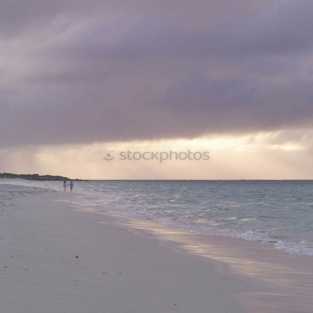 Similar – Image, Stock Photo Mussel Collector II Ocean