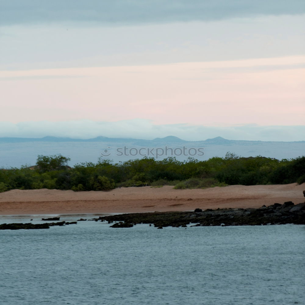 Similar – drained Beach Nature Sand