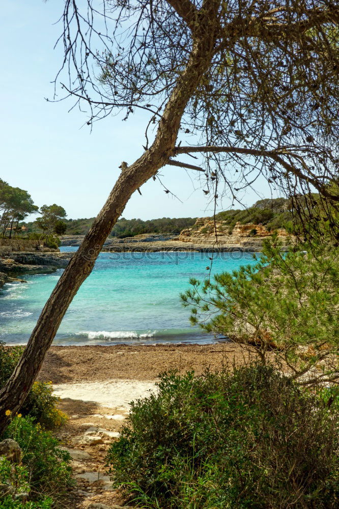 Similar – beach romance Beach Ocean