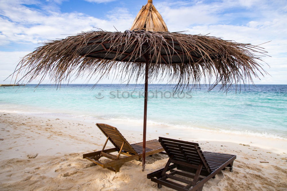 Similar – Image, Stock Photo Colourful hammock between palm trees